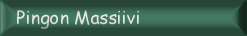 Pingon Massiivi: Pingon ikioma kotisivu. Katso ja vihastu